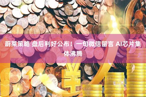 蔚莱策略 盘后利好公布！一句微信留言 AI芯片集体沸腾