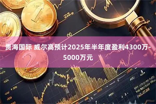 贵海国际 威尔高预计2025年半年度盈利4300万-5000万元