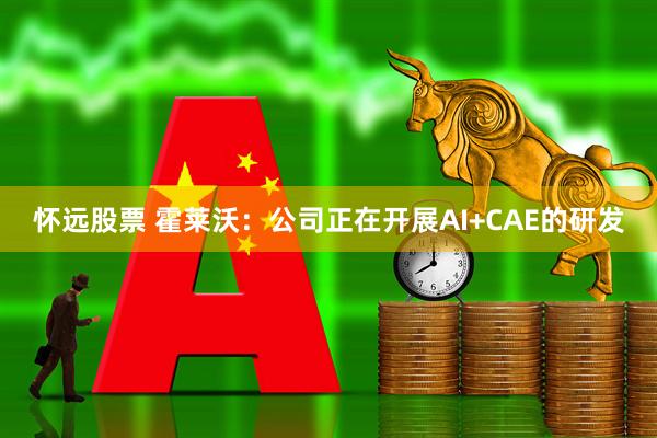 怀远股票 霍莱沃:公司正在开展AI+CAE的研发