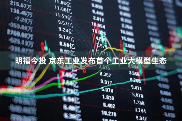 明福今投 京东工业发布首个工业大模型生态